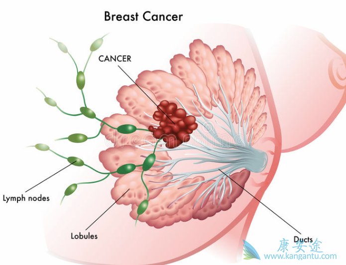 ���ٰ��ķ���ԭ��