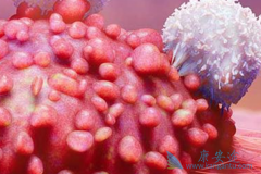 ������ϸ��ת�ƺ���ܰͰ����Ʒ�������Щ