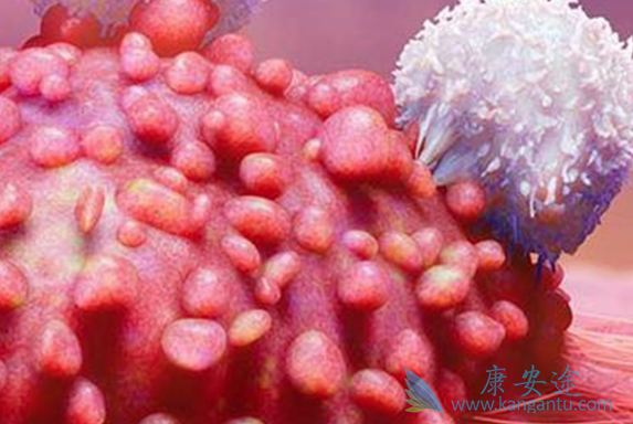 �ܰͰ����Ʒ���