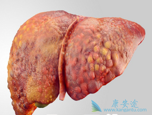 ��Ӳ��������������