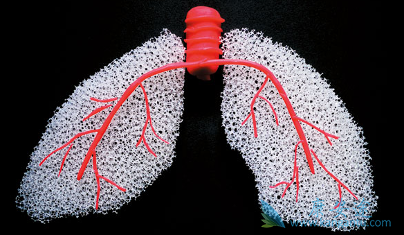 �ط��Է���ά��