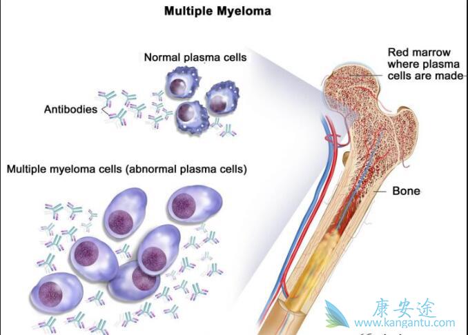 �෢�Թ�����