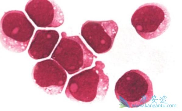 ��Ѫ��������