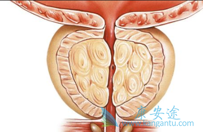 ǰ���ٰ��ܻ���