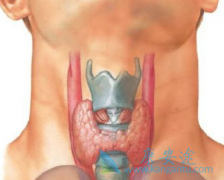 ��״�ٰ�֢�ķ���������Լ��������й�