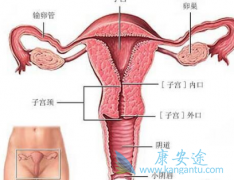 ���������ӹ���֢״Ӧ��ʱ��ҽ���м��