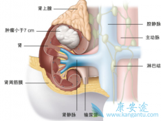 ������Щ����֢״Ϊʲô���ױ����ߺ���