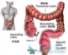 ��Щ���������Ǵ󳦰�֢״���󳦰�֢״������