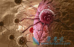 ȫ��İ�֢ҩ��֧�����ֳ�������