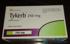 ��������(lapatinib)�������������������������ٰ���