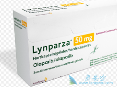 PARP���Ƽ���������(Olaparib)�������������ѳ���