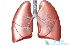 ��ǰ�˽�ΰ���֢״�����ڻ��ߵĹ淶������