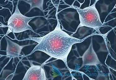 海外医疗 海外医疗