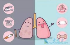 ���������ķΰ�ƫ����ʳ�Բ��˵����彡��ͬ��ʮ������