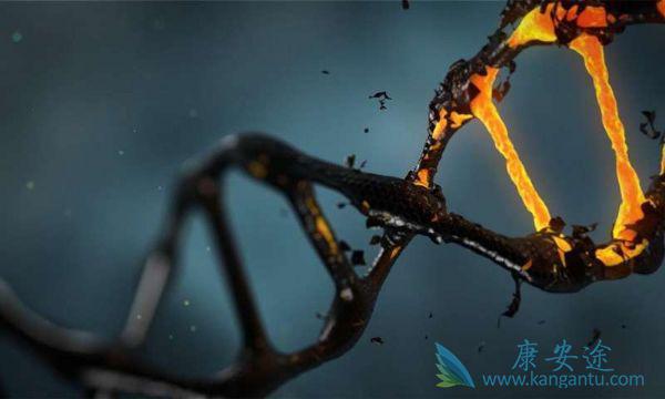 ����ҽ��