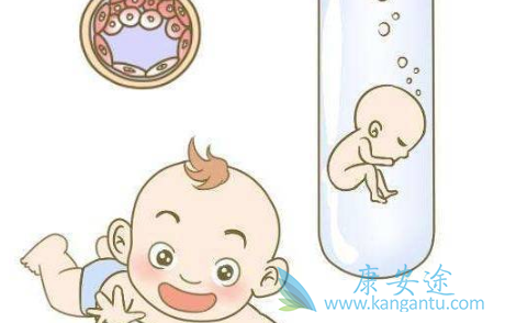 试管婴儿技术 试管婴儿技术