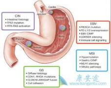 ���Ű�֢״���ճ������������յ�Ԥ������