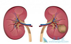 ����֢״����Щ��������Щ�����������������