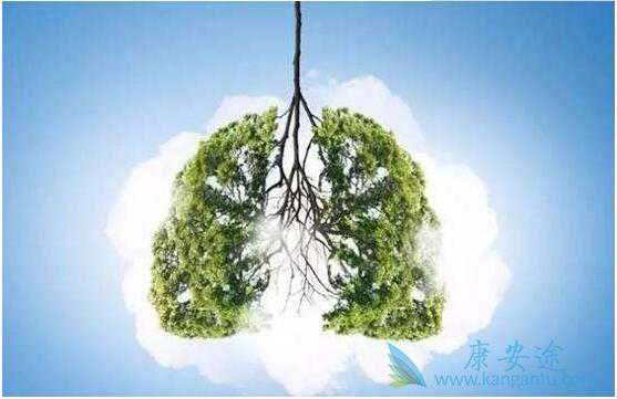 �ΰ����Ƶĸ�����