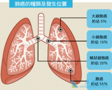 �ΰ������ܻ���������Щ������������