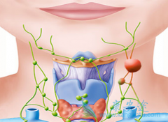 ���ǶȰ�(Revlimid)/��������Ч��������DLBCL���ߵ�PFS