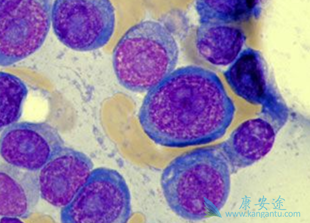 �����׵�