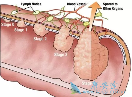 ��ɳ����