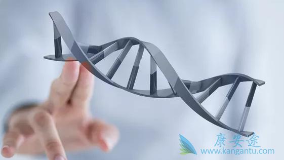 ����ҽ��