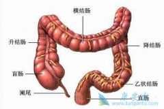 ��������/ϣ�޴����ϱ��������������Ʋ���ʹ��ֱ�����߻���