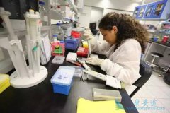 �ΰ����߶�����ɳ��ҩ�����ѡ��AZD9291/��ϣ������