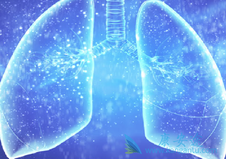 �ΰ���������