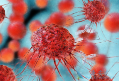 ˳�������Ʒ�Сϸ����ҩ��˳���Ĳ�����Ӧ��ô�����