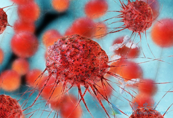 ˳���Ĳ�����Ӧ