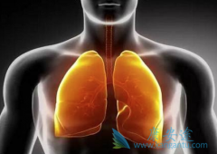 �ΰ����ڻ��Ƶ�ע����������Щ