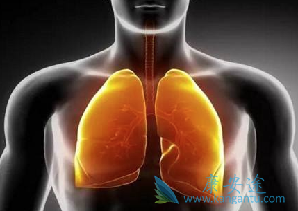 �ΰ����ڻ���