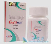 С���ɸ�������α���������ӵ�ӡ������ɳ��