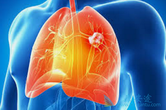 ɫ������