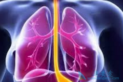 ������/���ᰣ������Ƭ�ɳ�Ϊ��ת�Ʒΰ����ߵ���ѡ��