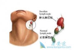 �򵥽����ܰ��������Ʒ���������Ч��