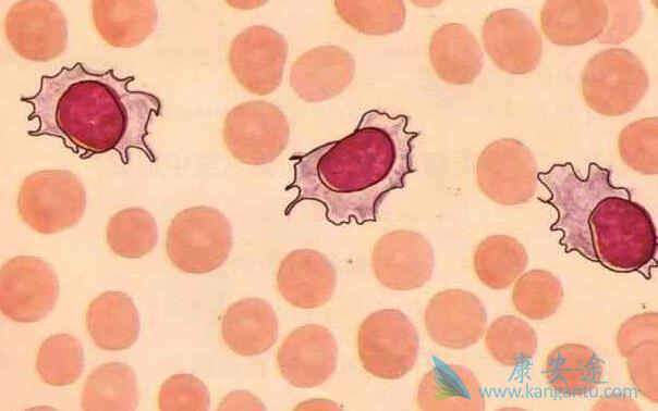 ����B�ܰ�ϸ����Ѫ��