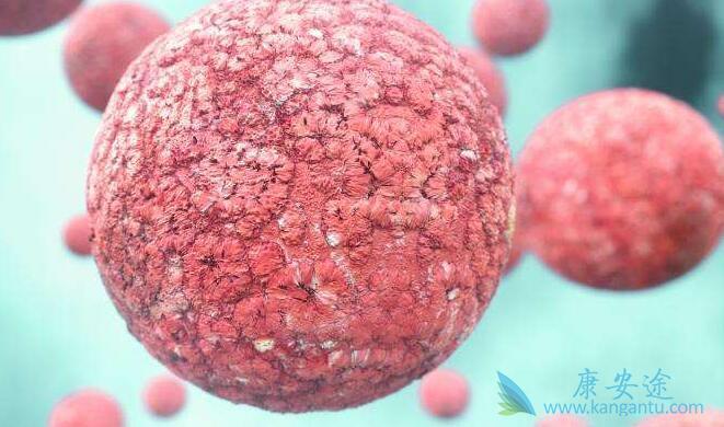 �ǻ�����ܰ���