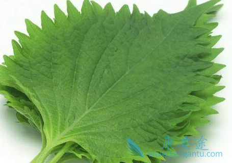 �ΰ�����ƫ��