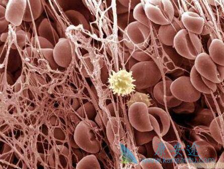 ����ҽ��