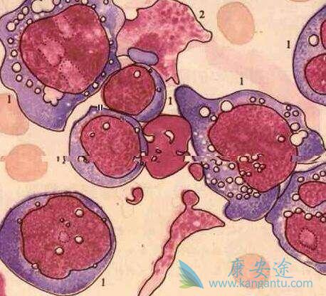 ԭ�����ݸ���Bϸ���ܰ���