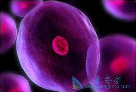 ԭ�����ݸ���Bϸ���ܰ���