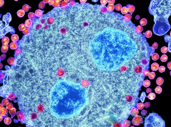 ���׵���