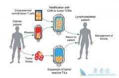 CAR-T�Ʒ��䴦���𲽽׶ε�δ������
