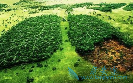 �ΰ�������ǰ