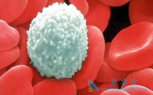 ѪҺ����������