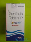 �ΰ�����������ö༪��/���������ܷ��ֹ�ΰ�����